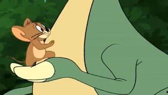 杰瑞爆料被打是哪一集视频,揭秘事件始末，一集视频揭露惊人真相