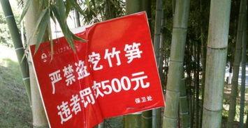 湖南爆料最新信息,揭秘神秘事件背后的真相