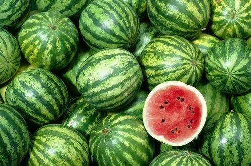 娱乐吃瓜的账号适合做什么,吃瓜账号的趣味解读与深度剖析